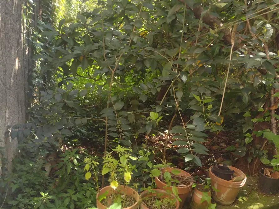 Immagine 13 di Villa in vendita  a Canicattini Bagni