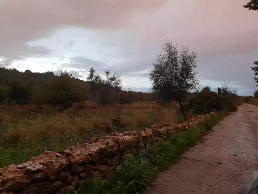 Immagine 5 di Terreno agricolo in vendita  a Siracusa