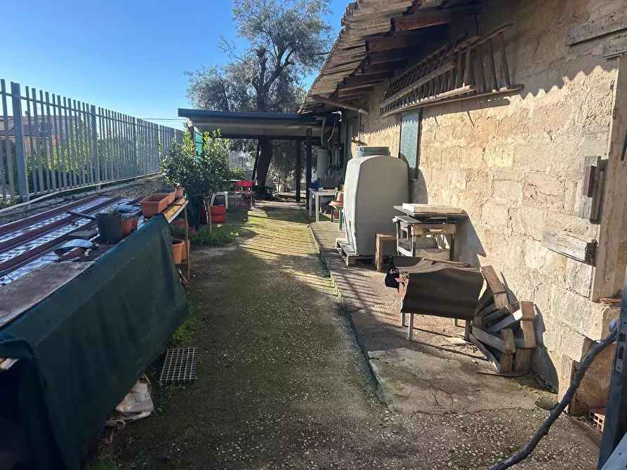 Immagine 4 di Terreno agricolo in vendita  a Siracusa