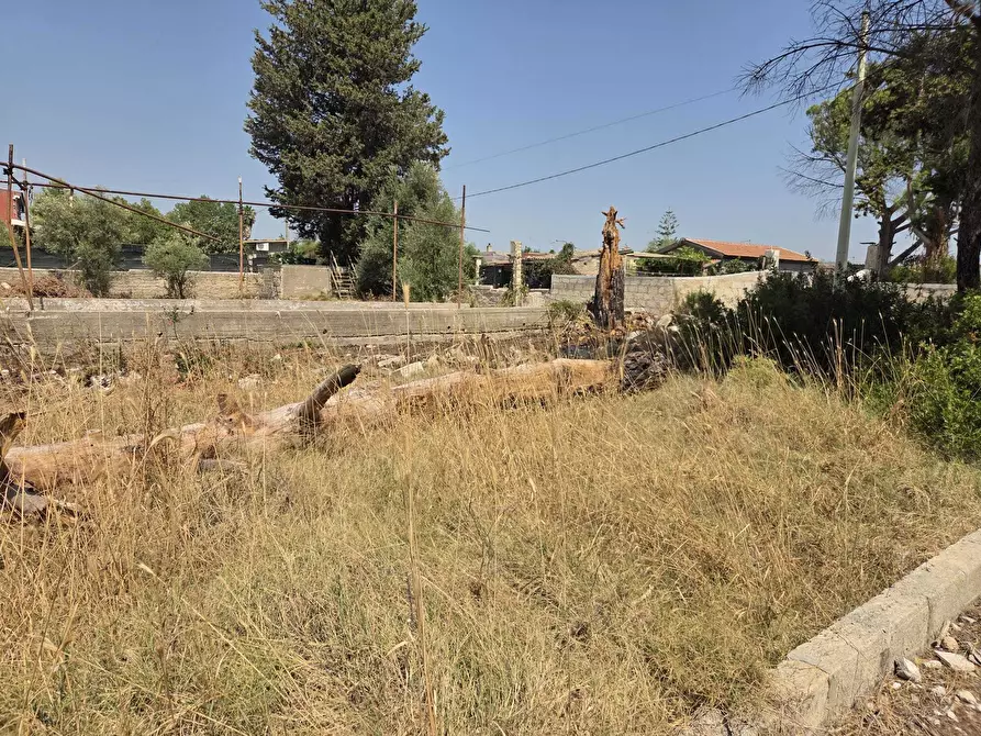 Immagine 1 di Terreno agricolo in vendita  a Siracusa