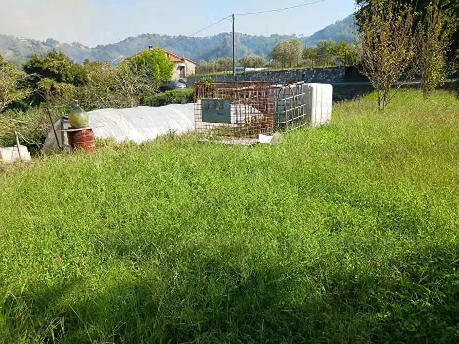 Immagine 13 di Rustico / casale in vendita  a Arcola