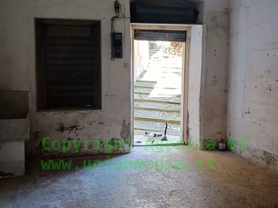 Immagine 6 di Capannone industriale in vendita  a Arcola