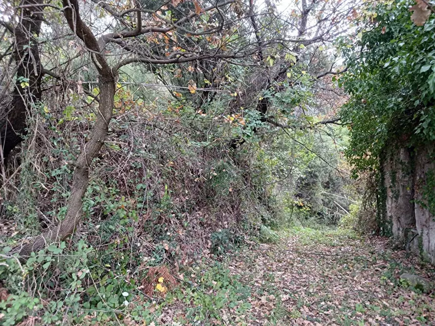 Immagine 12 di Casa indipendente in vendita  a Arcola