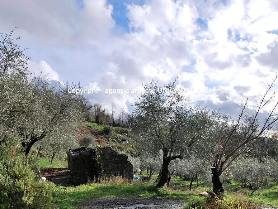 Immagine 1 di Rustico / casale in vendita  a Santo Stefano Di Magra