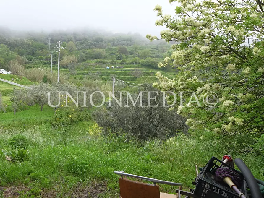 Immagine 19 di Casa indipendente in vendita  in via canepari a Fosdinovo