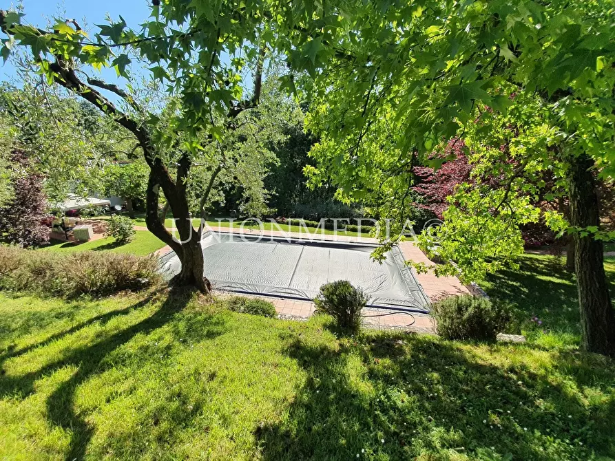 Immagine 9 di Villa in vendita  a Sarzana