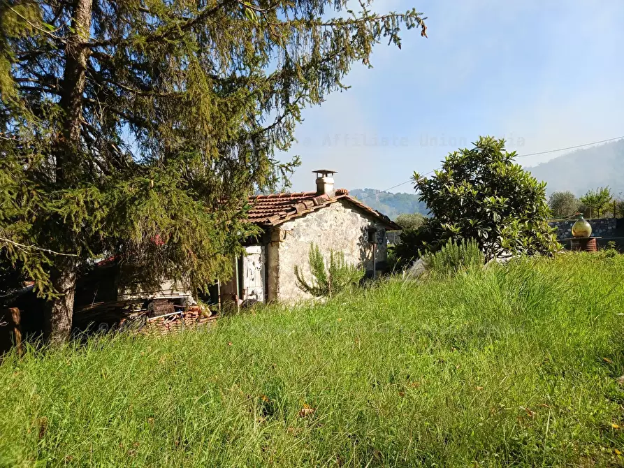 Immagine 12 di Rustico / casale in vendita  a Arcola