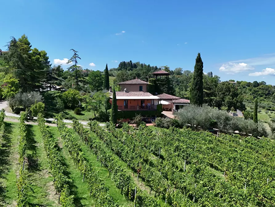 Immagine 14 di Casa indipendente in vendita  in Via Roma 14A a Borghi