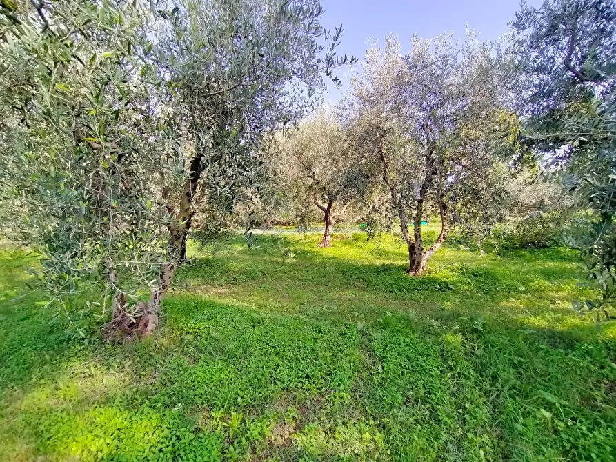 Immagine 35 di Casa indipendente in vendita  in Via Santa Cristina 137A a Rimini