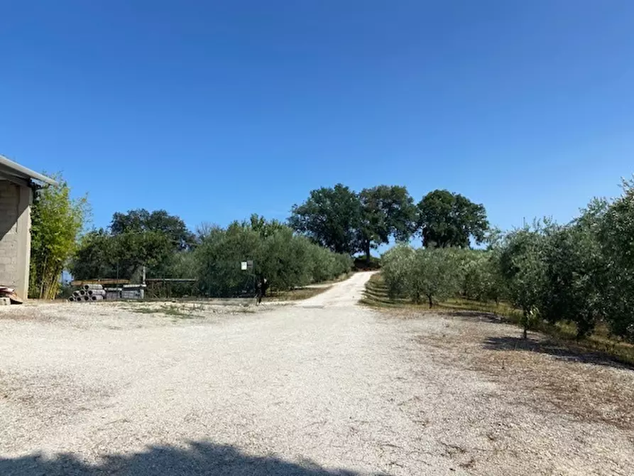 Immagine 45 di Rustico / casale in vendita  in Via Sant'Andrea in Villis a Fano