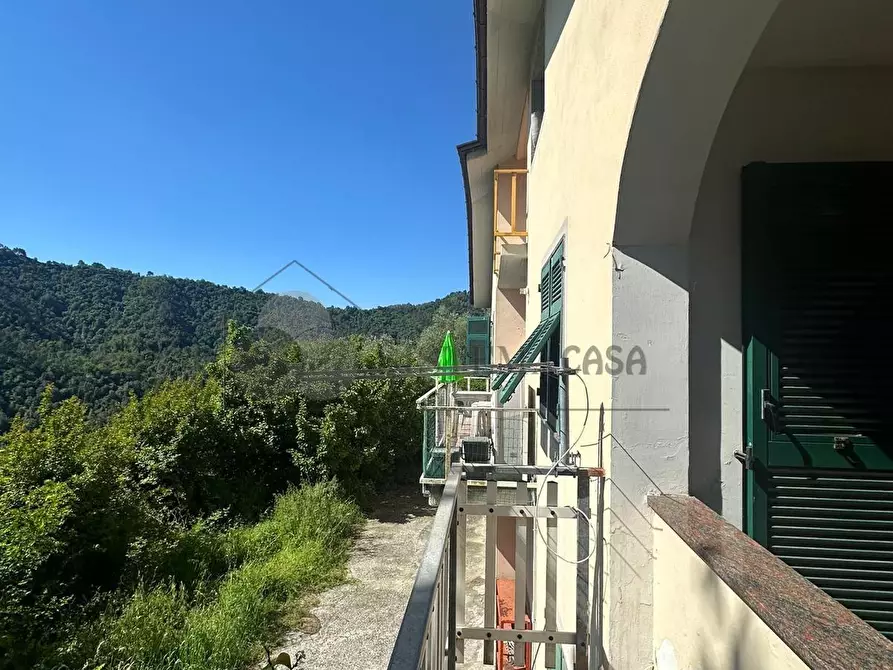 Immagine 22 di Casa indipendente in vendita  in Via San Lorenzo 20 a Follo