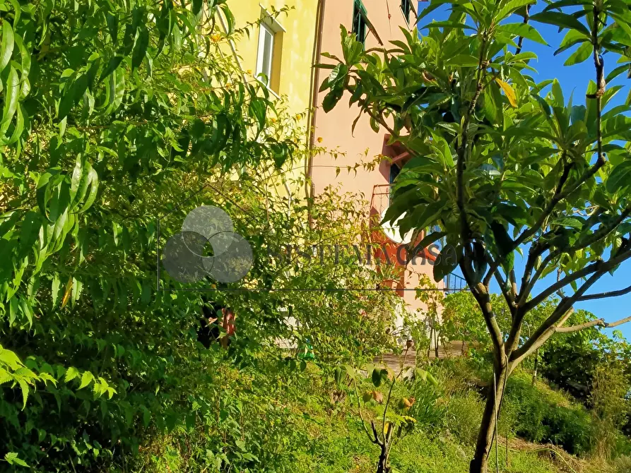 Immagine 23 di Rustico / casale in vendita  in Via del Castello snc a Fivizzano