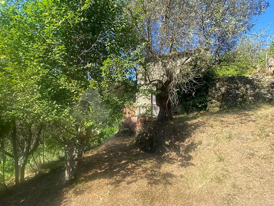 Immagine 7 di Casa indipendente in vendita  a Follo