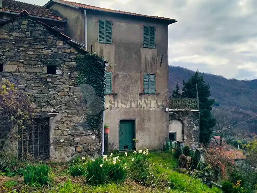 Immagine 21 di Rustico / casale in vendita  in Loc. Le Cassonare snc a Calice Al Cornoviglio