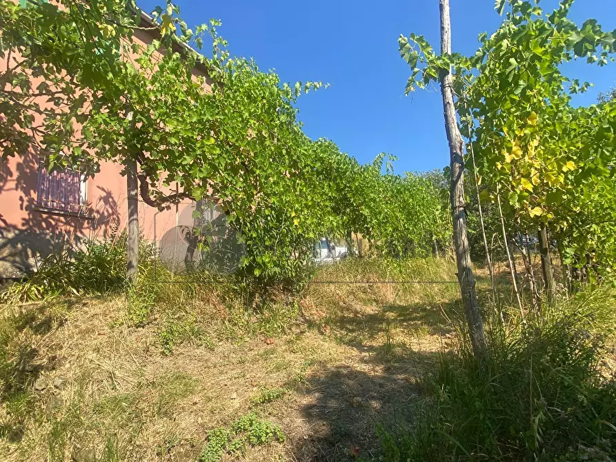 Immagine 4 di Casa indipendente in vendita  a Follo