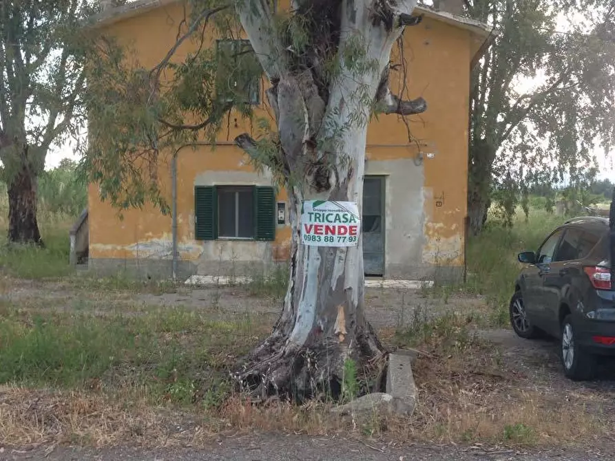 Immagine 1 di Casa bifamiliare in vendita  in Bruscate Piccola a Cassano Allo Ionio