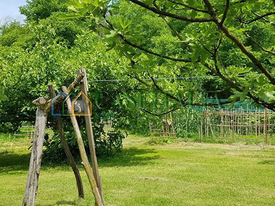 Immagine 45 di Villa in vendita  in via vignole 3 a Montafia