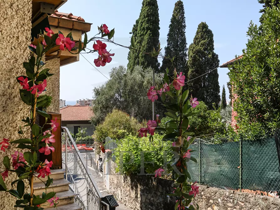 Immagine 21 di Casa indipendente in vendita  in Via Poggio Ponente 41 a Vallecrosia