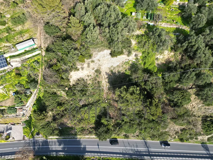 Immagine 4 di Terreno agricolo in vendita  in Corso Limone Piemonte snc a Ventimiglia