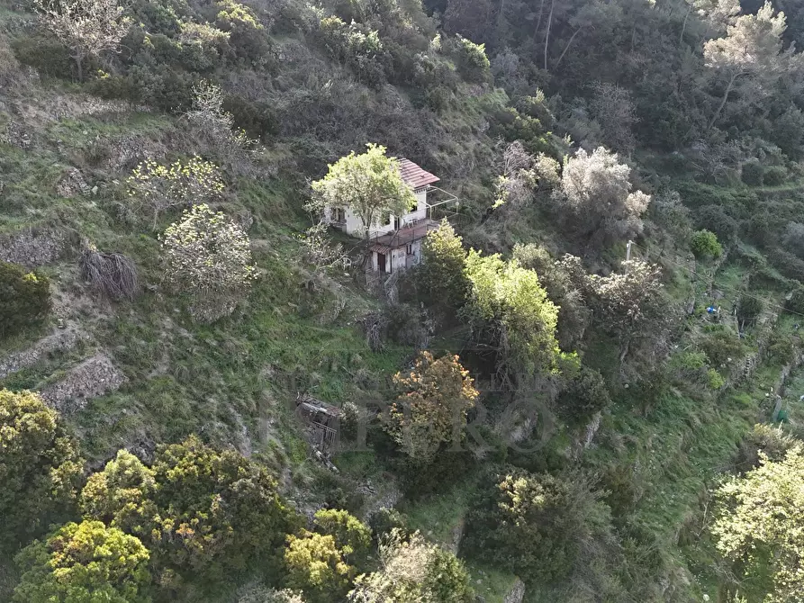 Immagine 15 di Casa indipendente in vendita  in Via Domenico Tempesta 30A a Ventimiglia