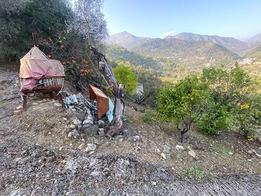 Immagine 19 di Casa indipendente in vendita  in Via Umberto Lorenzi a Ventimiglia