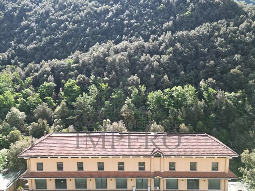 Immagine 1 di Attività commerciale in vendita  in Regione cancelli 5 a Pigna