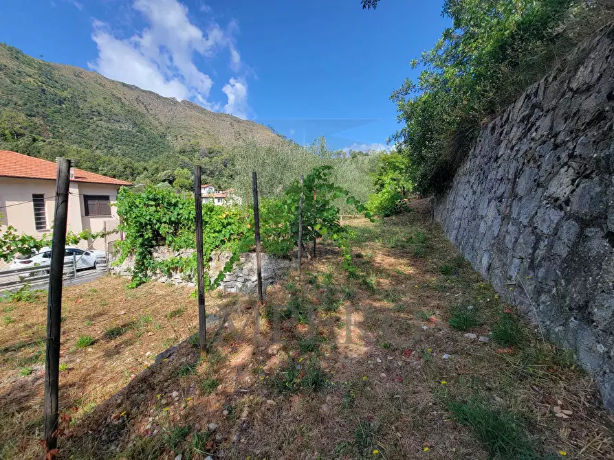 Immagine 64 di Casa bifamiliare in vendita  in Via Nazionale 8 a Airole