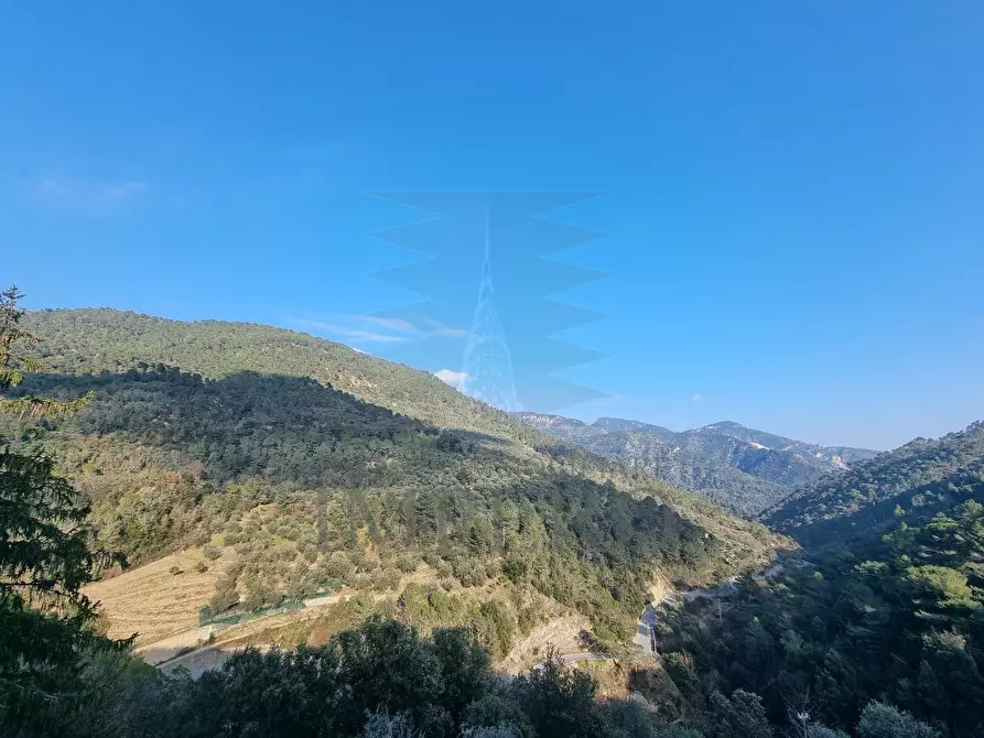 Immagine 31 di Porzione di casa in vendita  in Via Ginestrea 29 a Olivetta San Michele