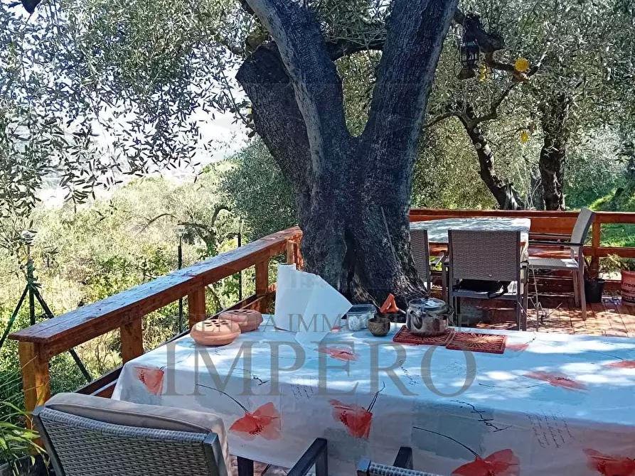 Immagine 8 di Terreno agricolo in vendita  in Via Monsignore Daffra 40 a Ventimiglia