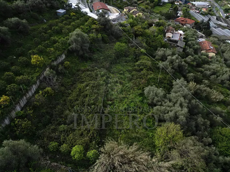 Immagine 9 di Terreno agricolo in vendita  in Strada San Sinforiano a San Biagio Della Cima
