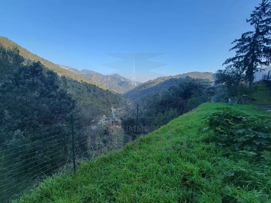 Immagine 32 di Porzione di casa in vendita  in Via Ginestrea 29 a Olivetta San Michele