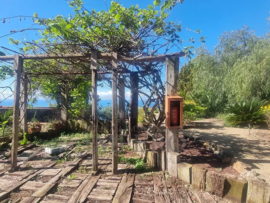 Immagine 32 di Villa in vendita  in Via Nappio 24 a Ventimiglia