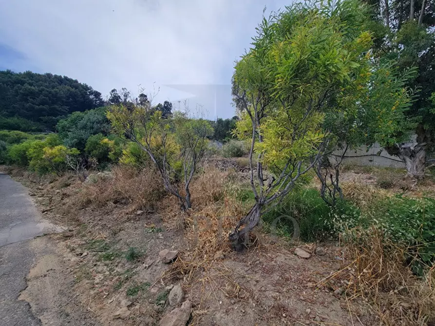 Immagine 20 di Terreno agricolo in vendita  in Via delle Otto Case 1 a Ventimiglia