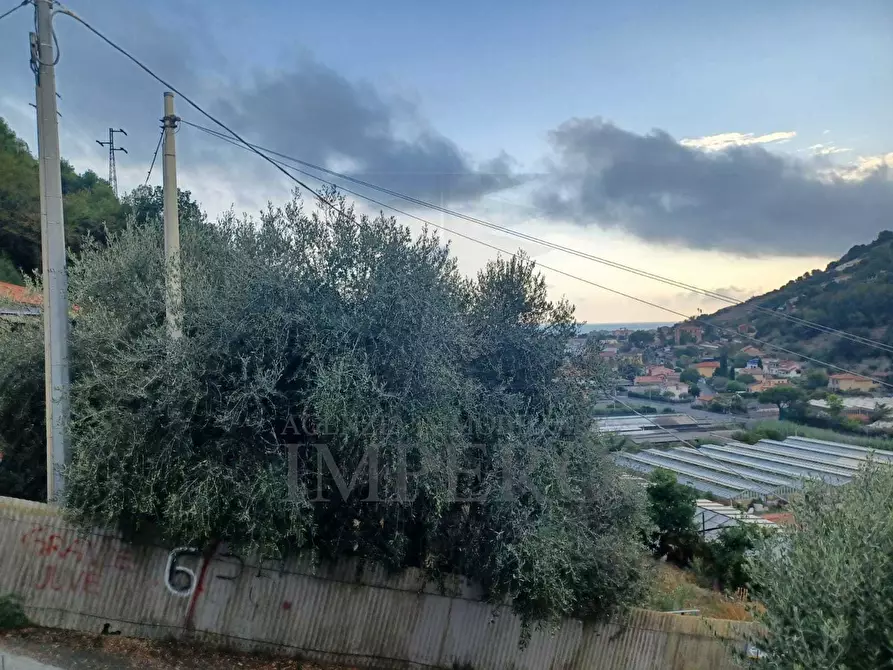 Immagine 25 di Villa in vendita  in via Roma traversa prima 1 a Vallecrosia