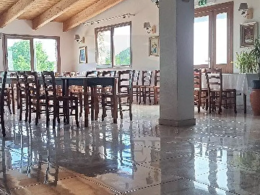 Immagine 10 di Villa in vendita  in Strada Provinciale a Dolceacqua