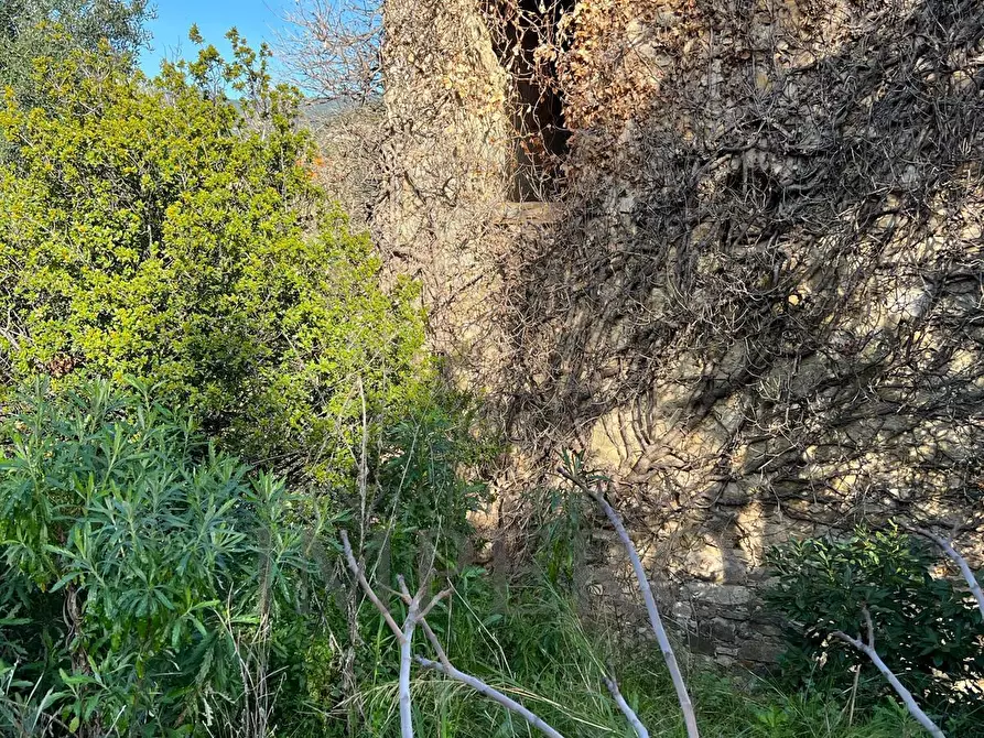 Immagine 27 di Villa in vendita  in via silvio peglio snc a Bordighera