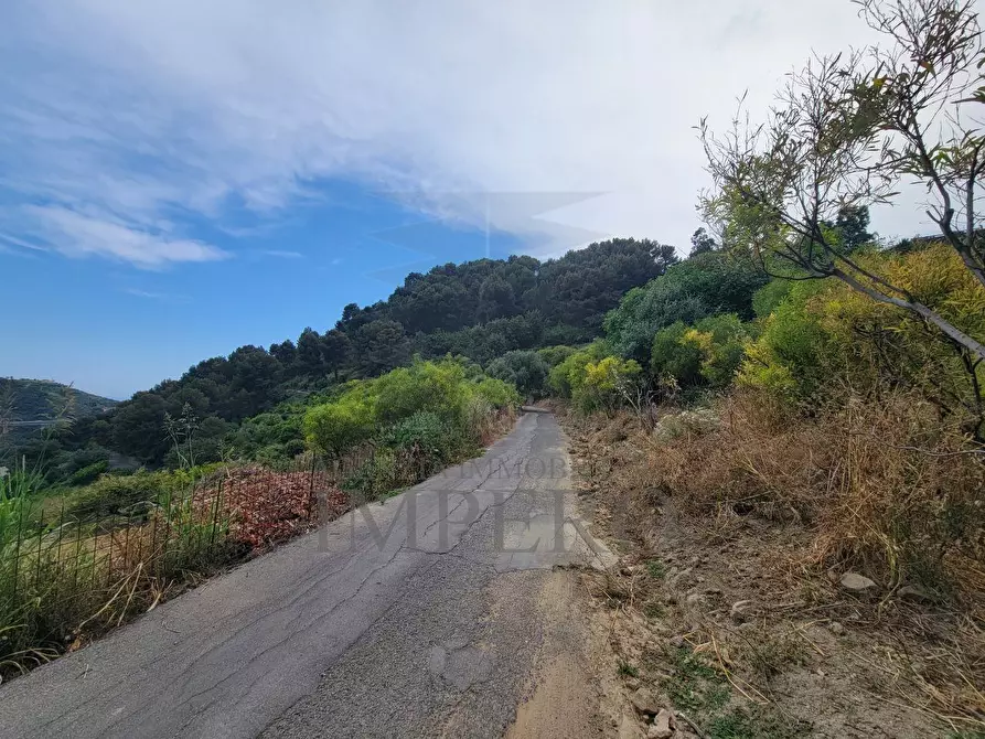Immagine 6 di Terreno agricolo in vendita  in Via delle Otto Case 1 a Ventimiglia