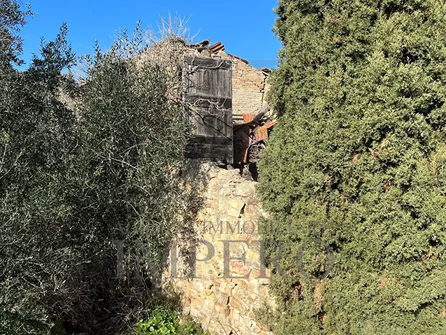 Immagine 34 di Villa in vendita  in via silvio peglio snc a Bordighera