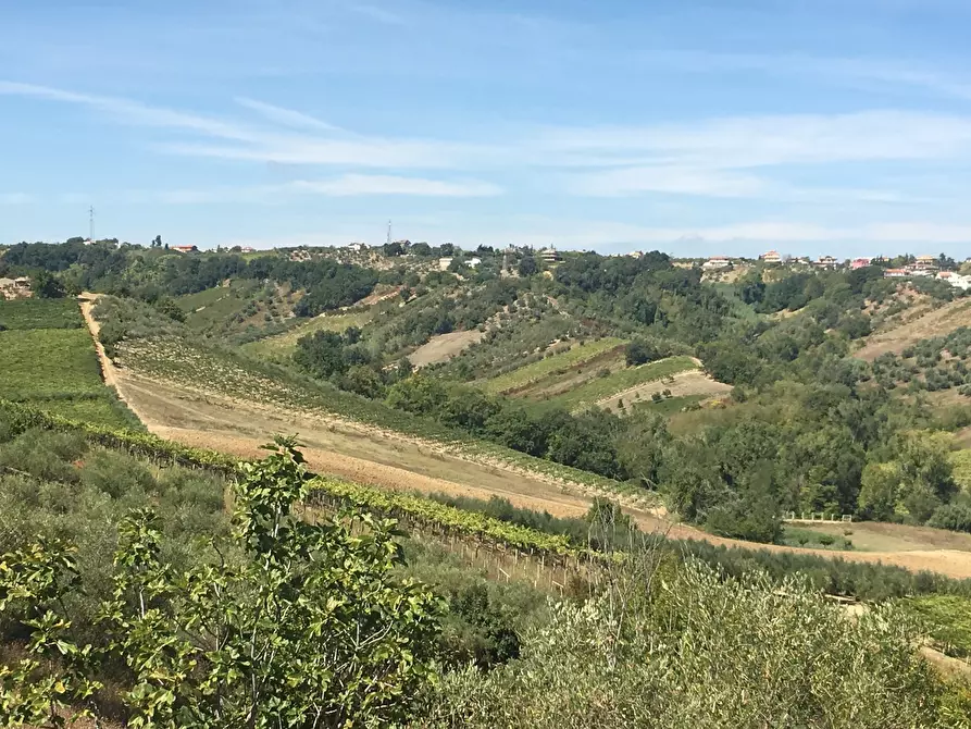 Immagine 12 di Bilocale in affitto  a Torrevecchia Teatina
