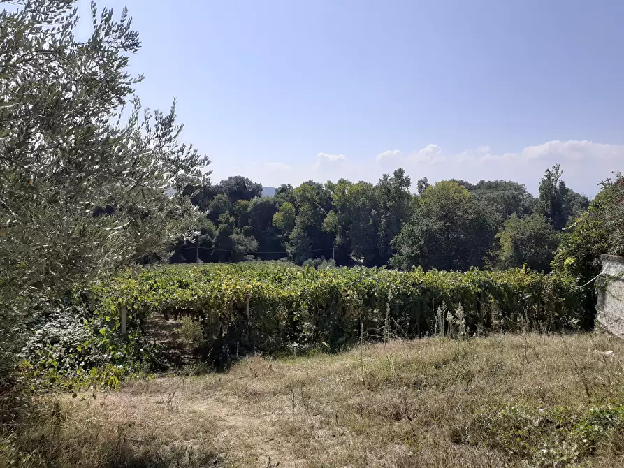 Immagine 7 di Casa indipendente in vendita  a Francavilla Al Mare