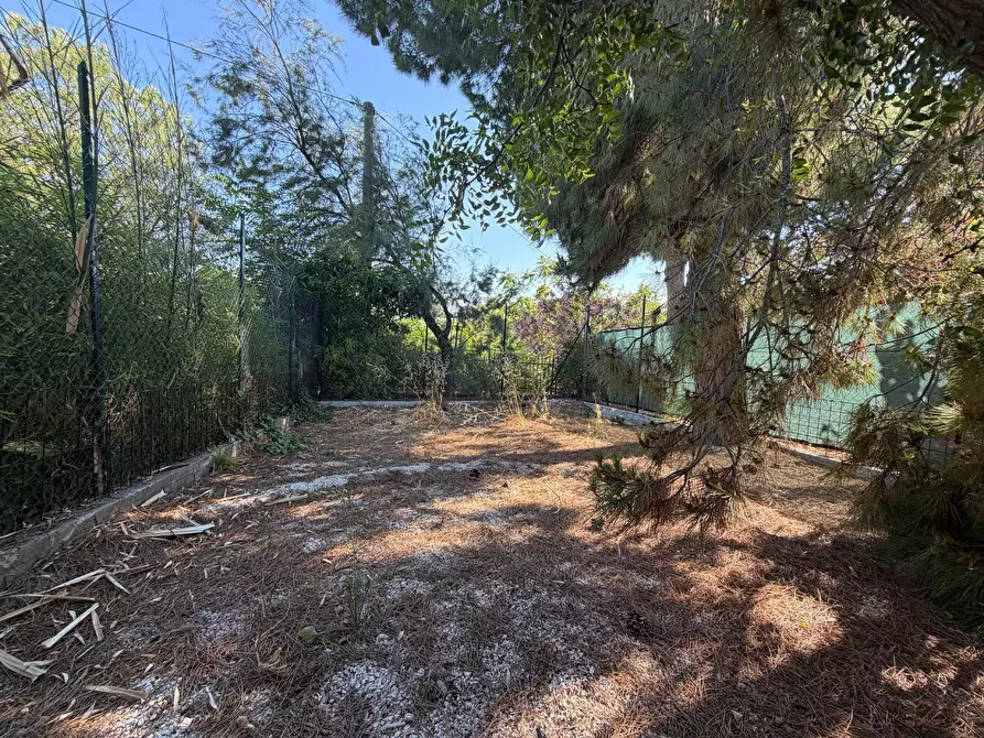 Immagine 22 di Bilocale in affitto  a Francavilla Al Mare