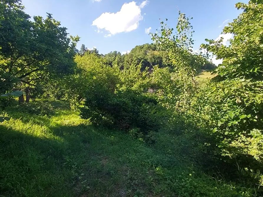 Immagine 46 di Rustico / casale in vendita  in via Canobbi 14 a Castel D'aiano