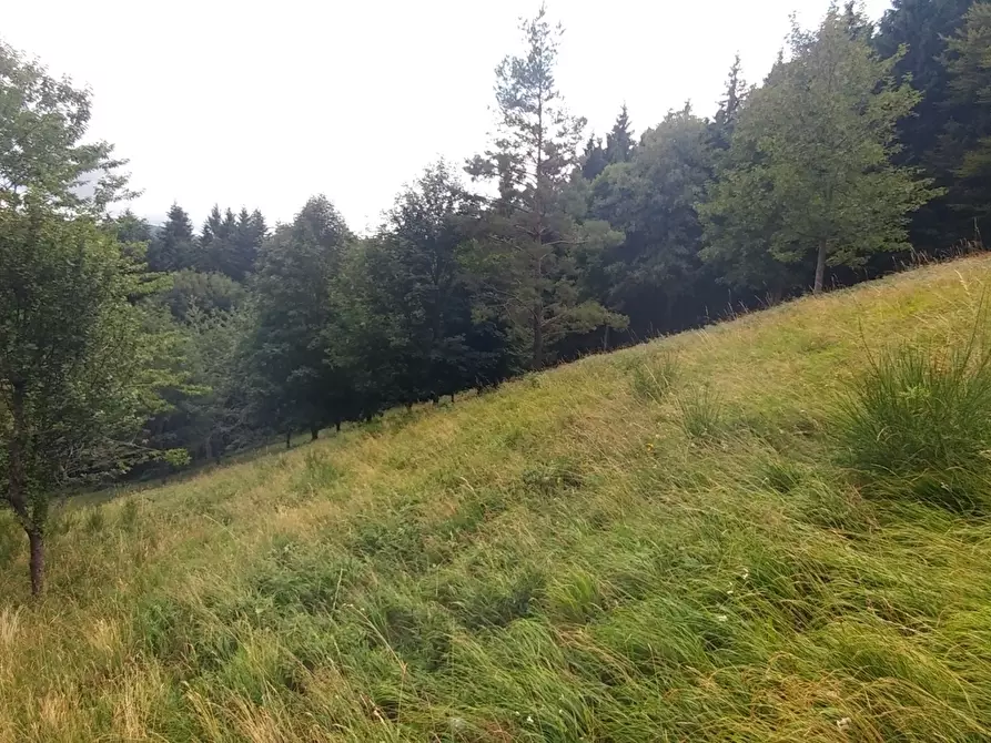 Immagine 36 di Rustico / casale in vendita  in Via Cà Zucchi 1294 a Fanano