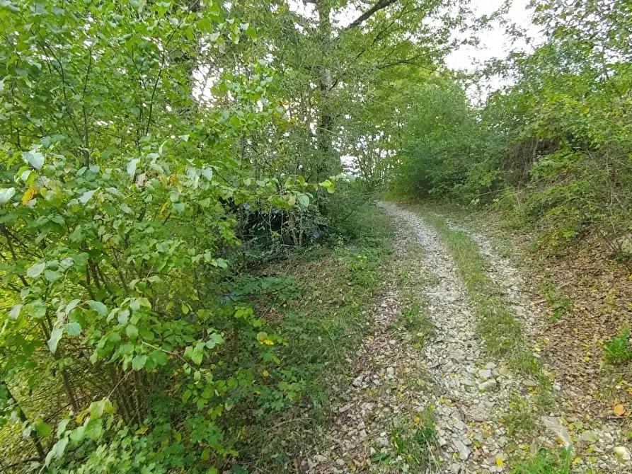 Immagine 30 di Rustico / casale in vendita  in via Selve 3205 a Zocca