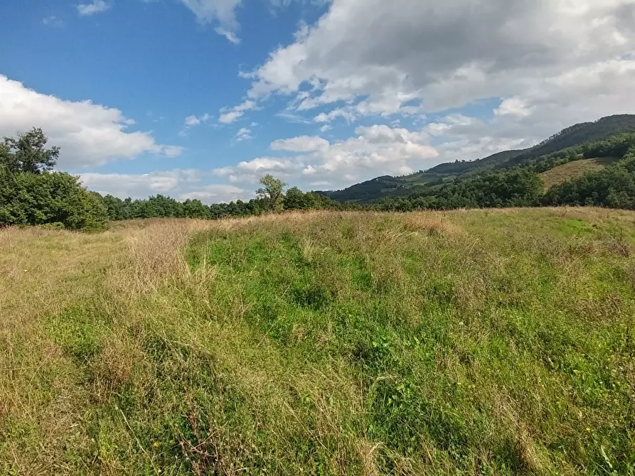 Immagine 34 di Rustico / casale in vendita  in via Selve 3205 a Zocca