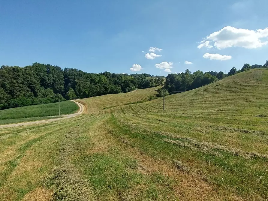 Immagine 3 di Rustico / casale in vendita  in Via Calizzano 803 a Zocca