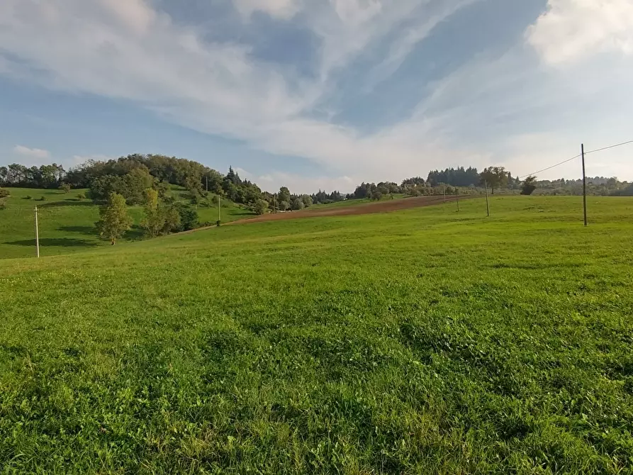 Immagine 28 di Rustico / casale in vendita  in Via Braglie 500 a Zocca