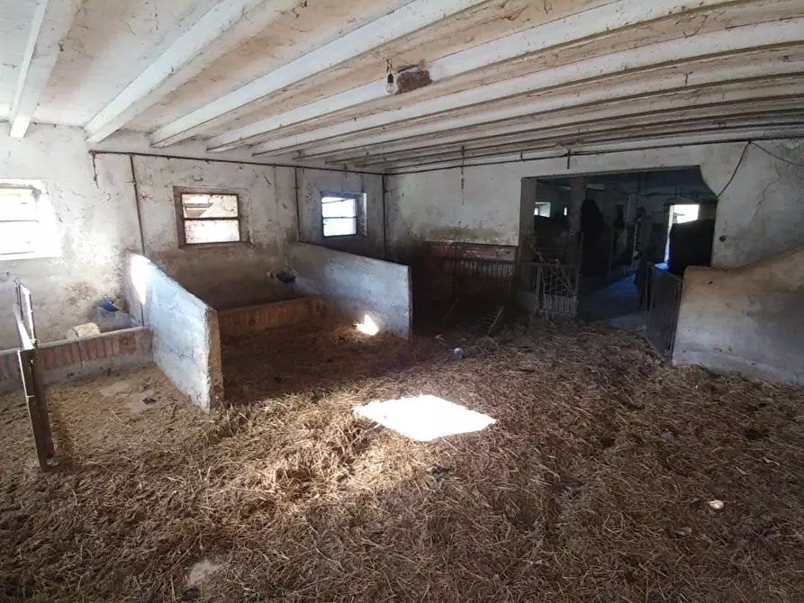 Immagine 21 di Rustico / casale in vendita  in Via Montalbano 3370 a Zocca