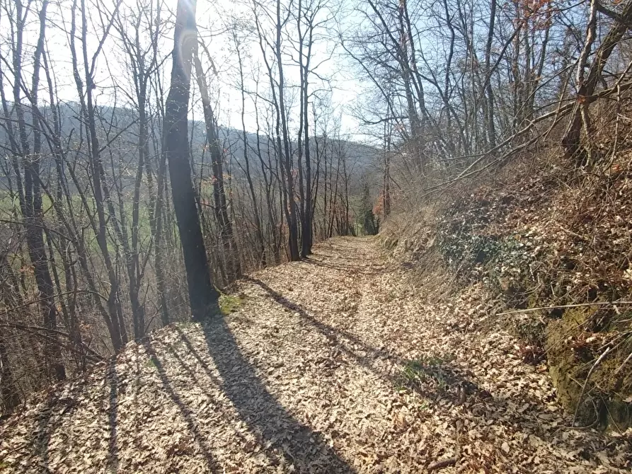 Immagine 43 di Rustico / casale in vendita  in Via Mattioli 555 a Zocca