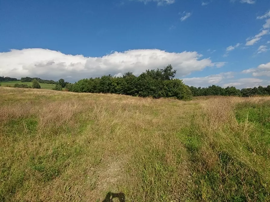 Immagine 35 di Rustico / casale in vendita  in via Selve 3205 a Zocca